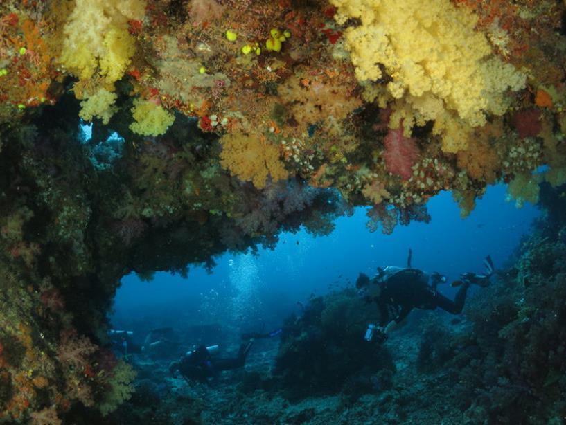 Taveuni Dive Resort Вайево Экстерьер фото
